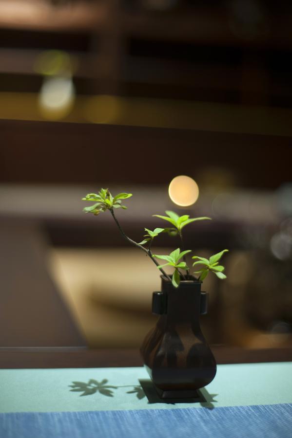 At Heart Zen Hotel Чънду Екстериор снимка